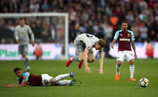 場組織大腦 場組織大腦